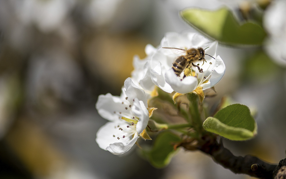 Platz 7 Roland Menigat